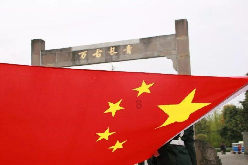 2024聊城年宵花藏宝图发布，蝴蝶兰、杜鹃等年宵花受热捧